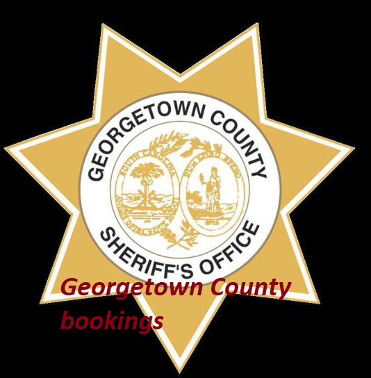 Georgetown County Bookings
