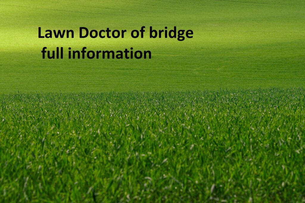 Lawn Doctor of bridg