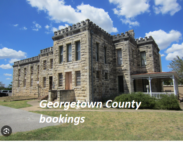 Georgetown County Bookings
